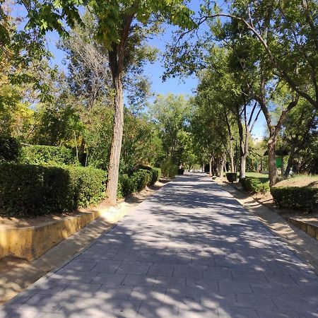 Apartamento Rosa Park โตเลโด ภายนอก รูปภาพ